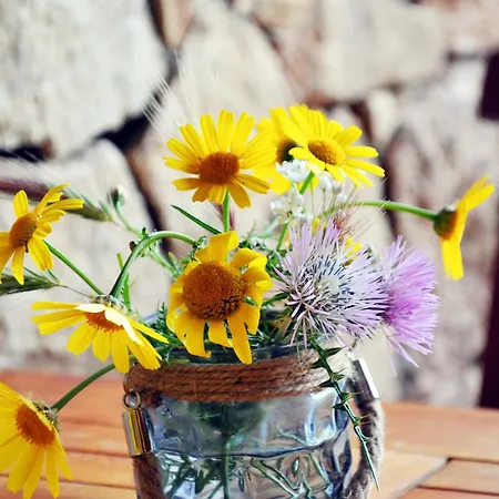 Hébergement de vacances Holiday Home